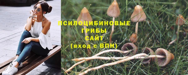 кокс Баксан