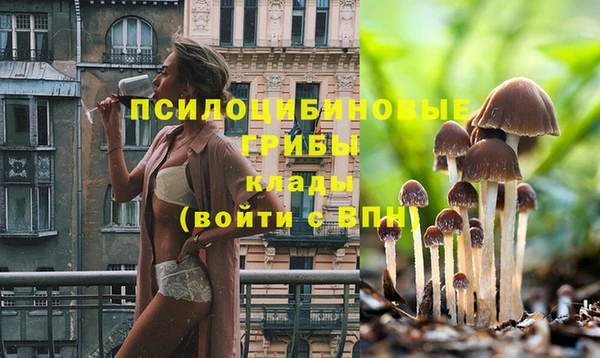 кокс Баксан