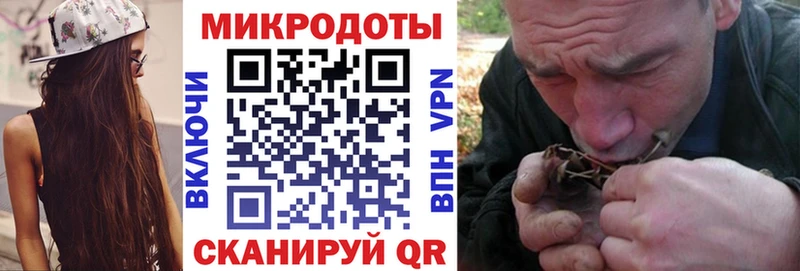 Псилоцибиновые грибы Psilocybe  Новая Усмань 